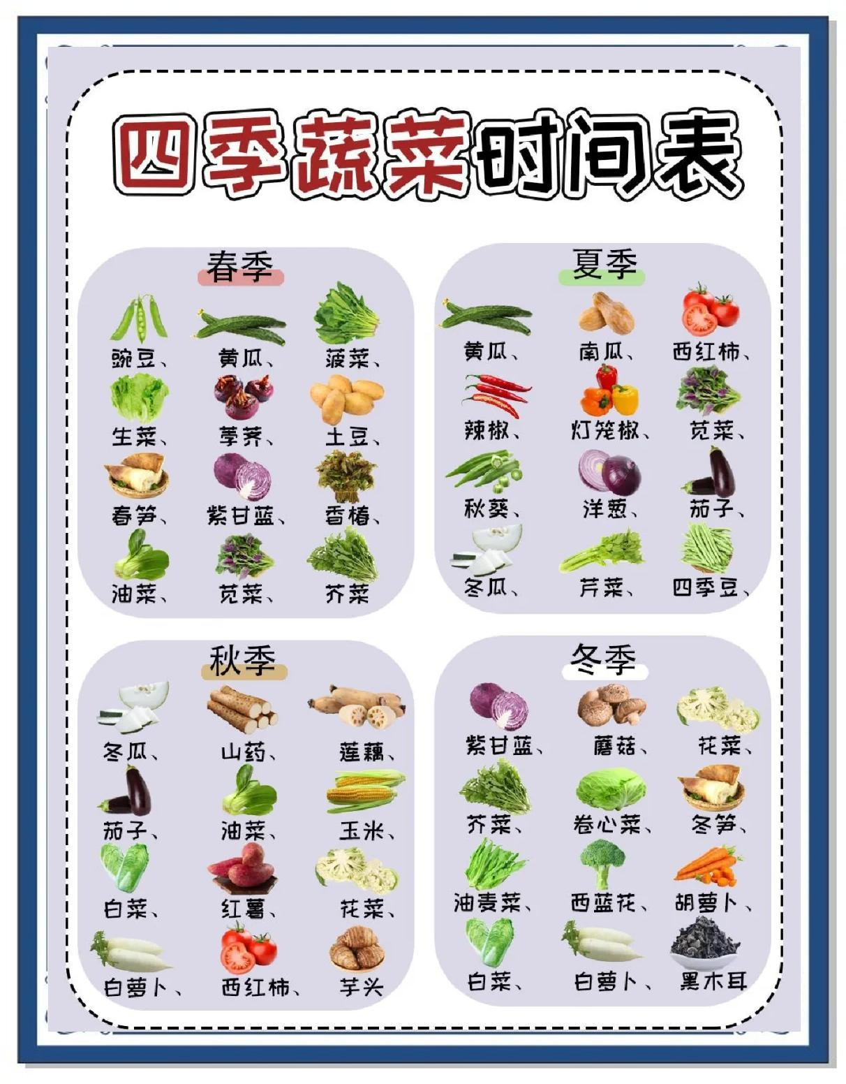 四季蔬菜种植时间表，轻松安排你的菜园